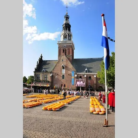 Centrum - Green Cheese Berrie * Alkmaar