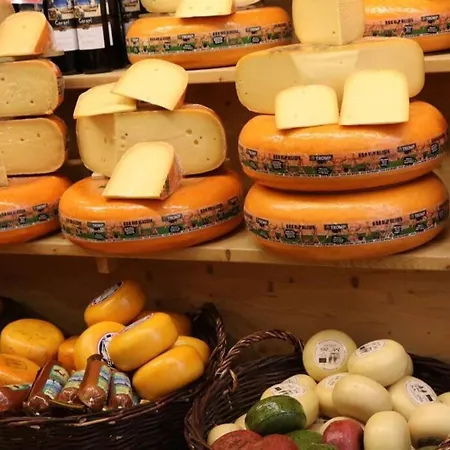 Apartamento Centrum - Green Cheese Berrie